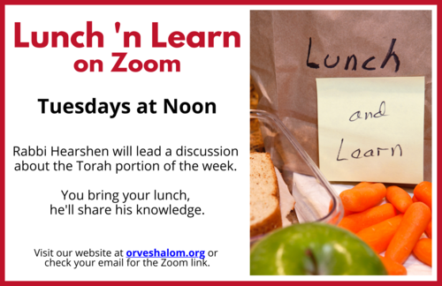 Banner Image for Lunch 'n Learn on Zoom