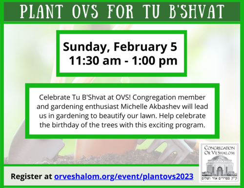 Banner Image for Plant OVS for Tu B'Shvat