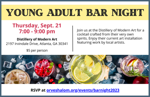 Banner Image for Young Adult Bar Night