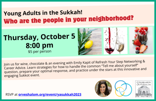 Banner Image for Young Adults in the Sukkah 2023