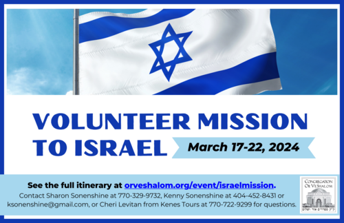 Banner Image for Volunteer Mission to Israel