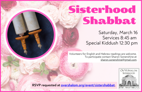 Banner Image for Sisterhhood Shabbat